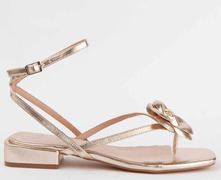 Montevita Sandalen 103004