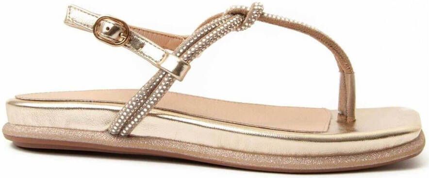 Montevita Sandalen 91710
