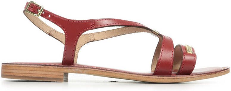 Les Tropéziennes par M Belarbi Sandalen Hamoon