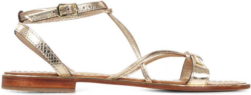 les tropéziennes par m belarbi hirondel