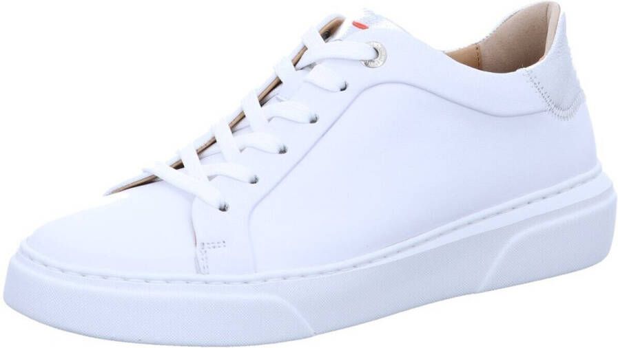 Lloyd Lage Sneakers