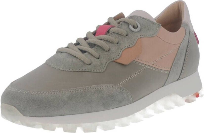 Lloyd Sneakers hoog