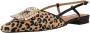 Lodi BO5504 Dierlijke Dr - Thumbnail 2