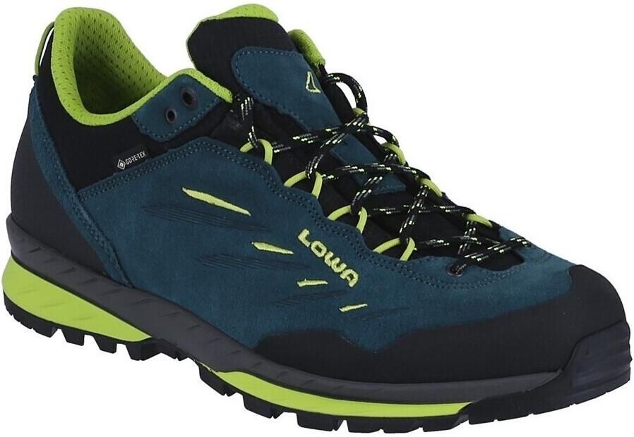Lowa Delago GTX Lo Wandelschoenen blauw