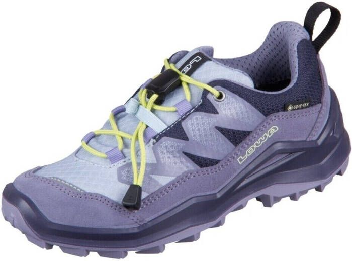 Lowa Kid's Maddox Pro GTX LO Multisportschoenen grijs
