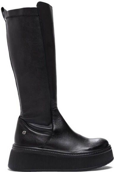 Maciejka Low Boots 0711101008