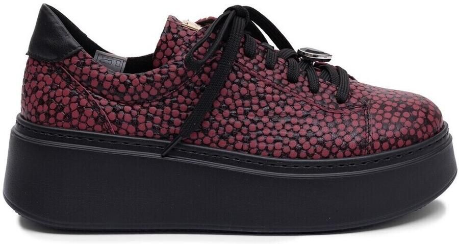 Maciejka Lage Sneakers 6191W15008