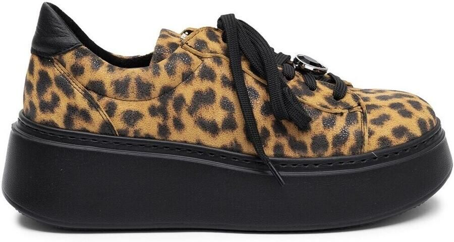 Maciejka Lage Sneakers 6191W21008