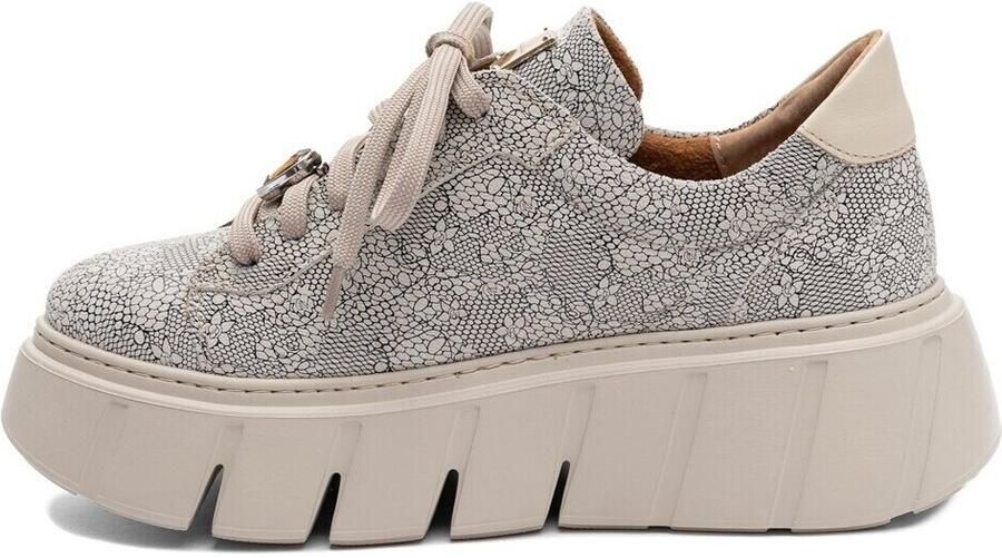 Maciejka Lage Sneakers 6891W03008