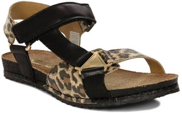 Maciejka Nette Schoenen 0702620001