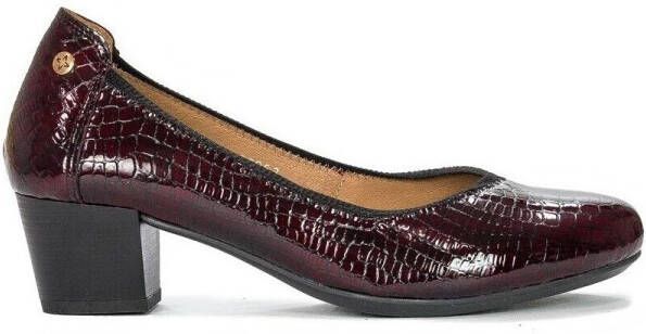 Maciejka Pumps 0480223001