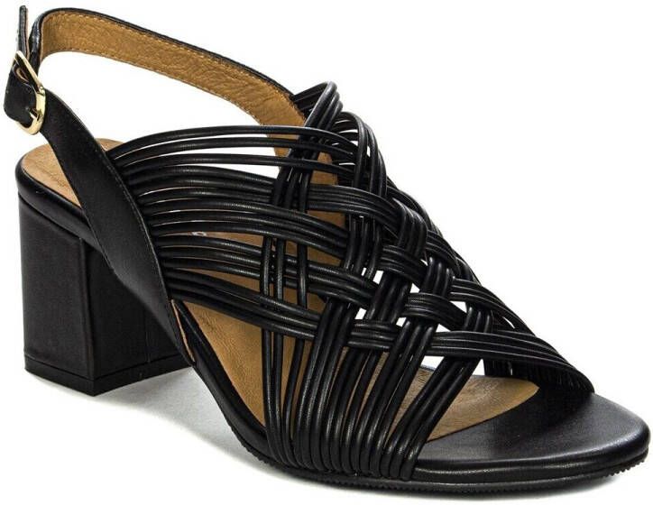 Maciejka Sandalen N651701001