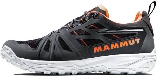 Mammut Saentis Low Goretex Wandelschoenen Zwart Man
