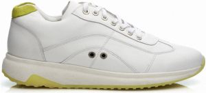 Mariano Shoes Sneakers Cedros