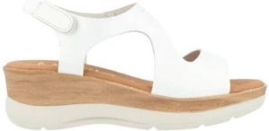 Marila Sandalen