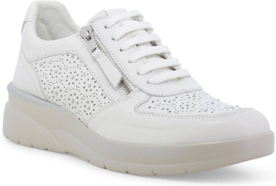 Melluso Lage Sneakers K55446-243686