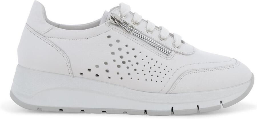 Melluso Lage Sneakers R20096-255829