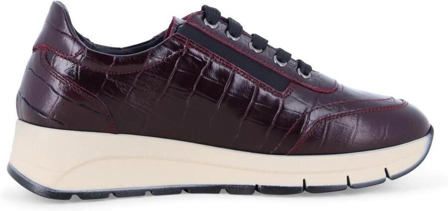 Melluso Lage Sneakers R25099-261936