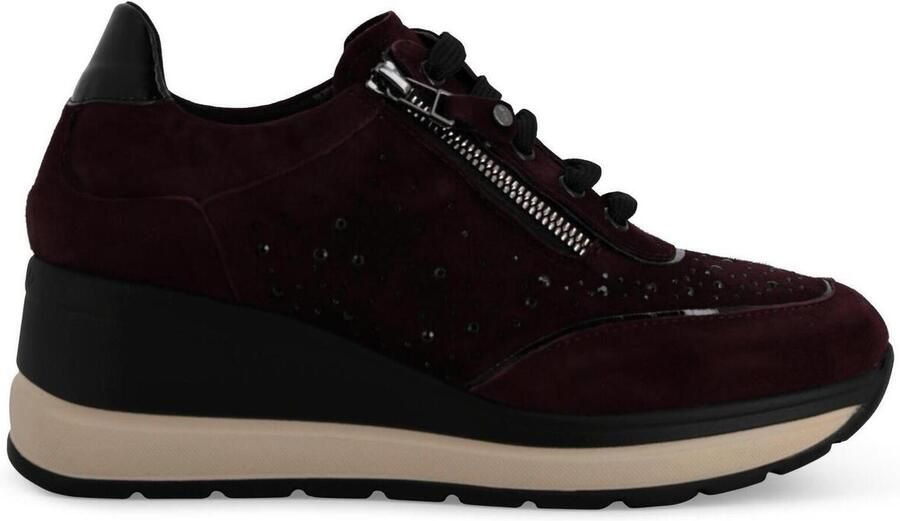 Melluso Lage Sneakers R25563-249978