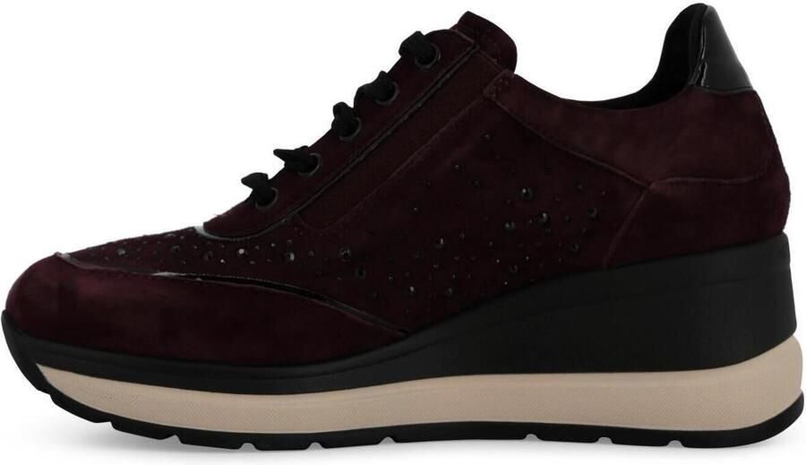 Melluso Lage Sneakers R25563Q-263286
