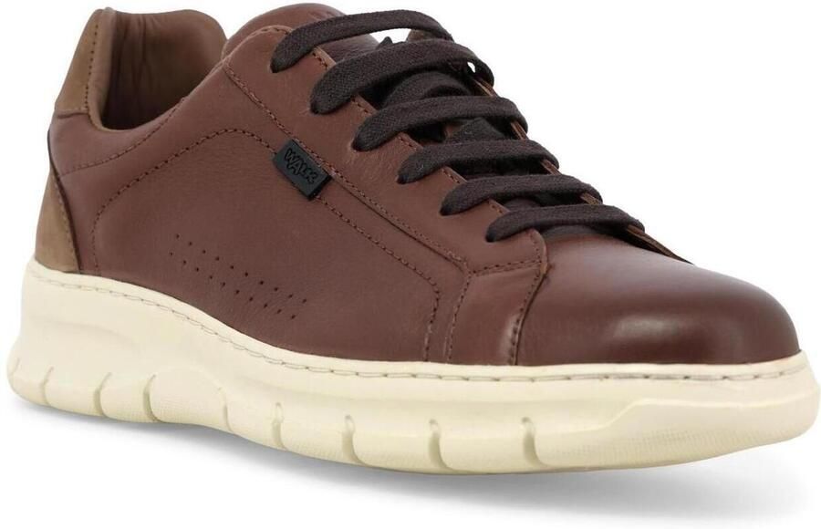 Melluso Lage Sneakers U55382Q-259778