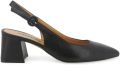 Melluso Pumps D179Q-257233 - Zwart