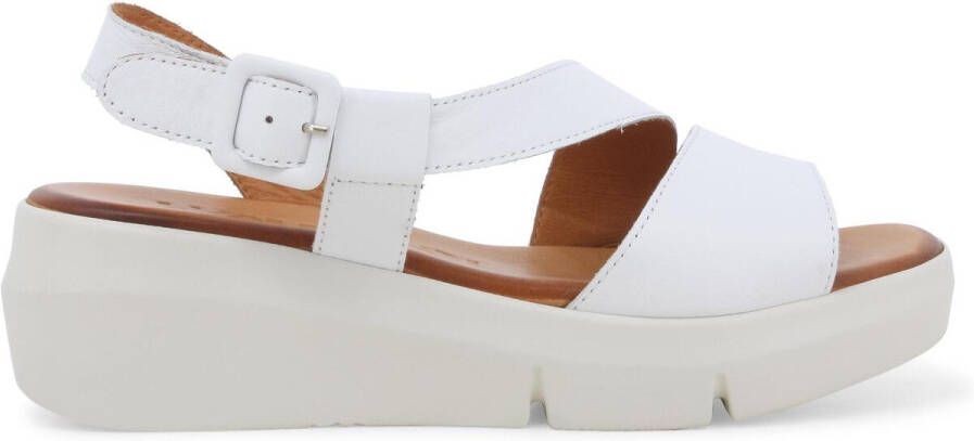 Melluso Sandalen R80424Z-245186
