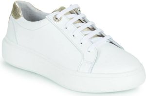 Myma Lage Sneakers 5411MY