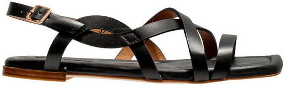 Neosens Sandalen 3336111TN003