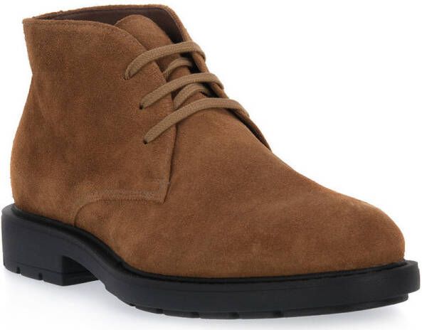 NeroGiardini Laarzen NERO GIARDINI 339 VELOUR MALTO - Foto 2