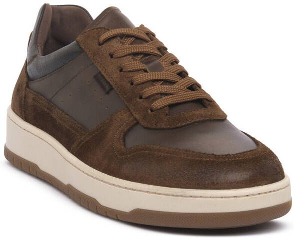 NeroGiardini Lage Sneakers NERO GIARDINI 339 VELOUR MALTO