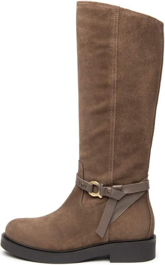 NeroGiardini Laarzen Velour Sauvage Taupe Tr Altamura 8252 Lig Fashion Wear Vrouwen - Foto 2