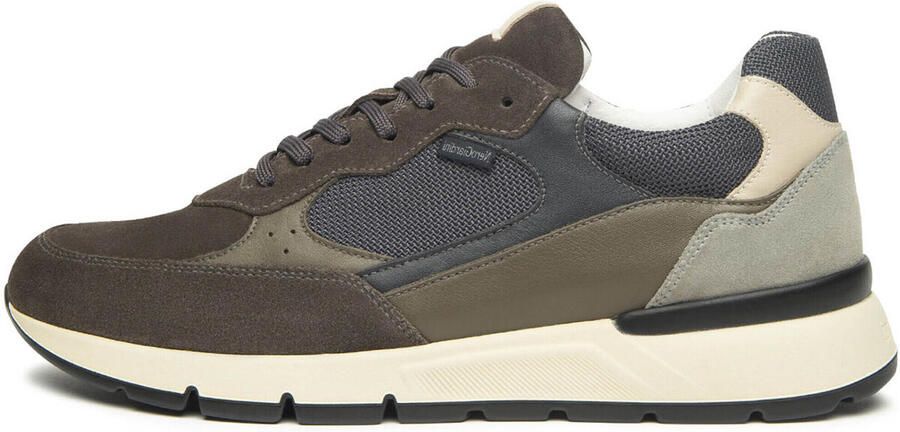 NeroGiardini Sneaker Colorado Sauvage T.Dragon Grijs 107 Sauvage Da Streetwear Volwassen - Foto 2