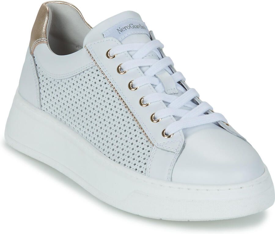NeroGiardini Lage Sneakers NGD-E26-15274-707