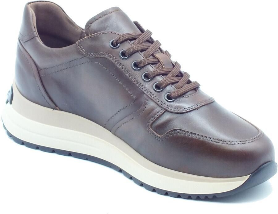 NeroGiardini Lage Sneakers I601301U Delavato