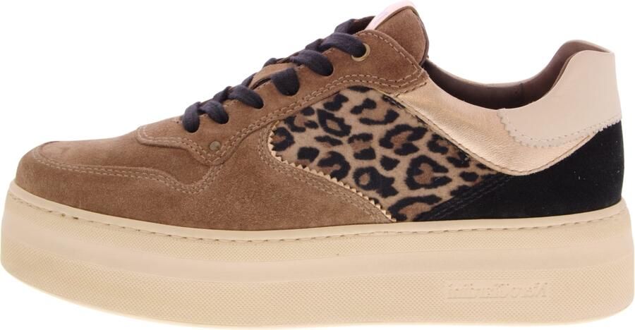 NeroGiardini Sneakers I617480D Velour Col.
