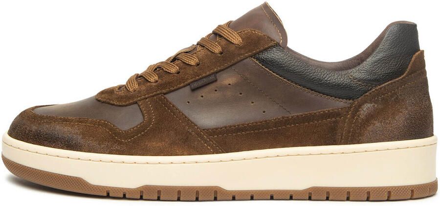 NeroGiardini Sneakers Velour Noxos Delave' Dollarino 367 Tr Fo Fashion Wear Volwassen - Foto 3