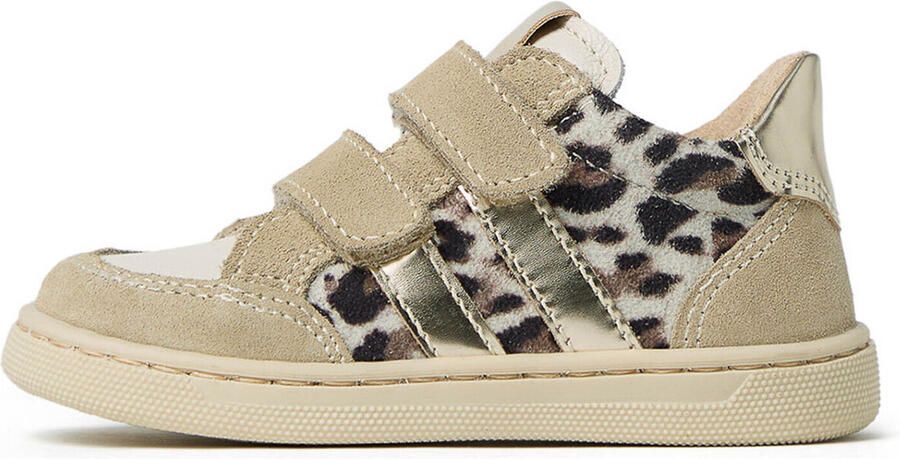 NeroGiardini Lage Sneakers Velour Perseo Osso T.Aida Leo +Ir T.Brill Pl