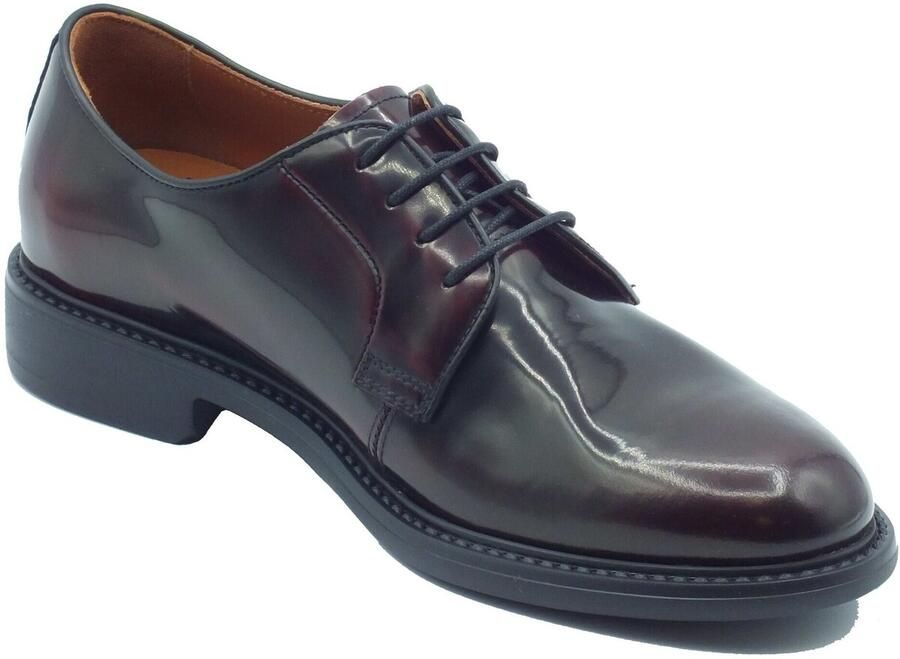 NeroGiardini Nette Schoenen I601251U Cordovan Col.