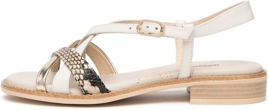 NeroGiardini Sandaal Diamant Punt Steen Glans Platina 6074 Sparta O Fashion Wear Vrouwen - Foto 3