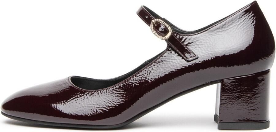 NeroGiardini Pumps Naplak 67423 Tpu Olly Oreo S