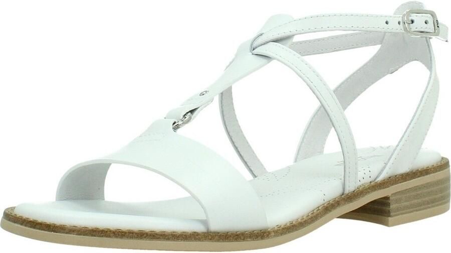 NeroGiardini Loira Tr Bevagna 592 Beig Fashion Wear Vrouwen - Foto 4