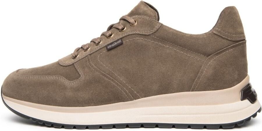 NeroGiardini Sneakers Arold Colo Pu.Bidens.Alghero B1