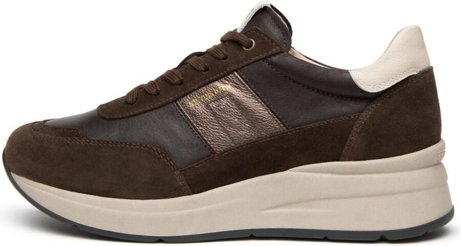 NeroGiardini Sneaker Arold Donkerbruin Savana Bruin Omega Donkerbruin Dollar Fashion Wear Vrouwen - Foto 3