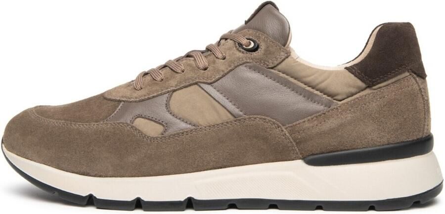 NeroGiardini Sneakers Arold Colo T.Zoro Sauvage Taupe Arold Colo