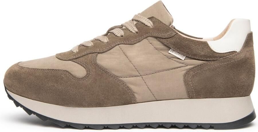NeroGiardini Sneakers Arold Colo T.Zoro Sparta Osso Tr Olmo Fumo Osso