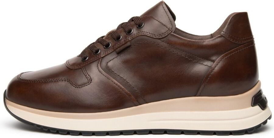 NeroGiardini Sneakers Delavato Pu.Bidens.Alghero B1