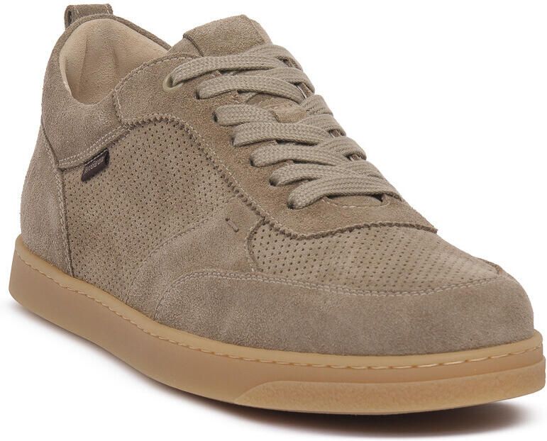 NeroGiardini Sneakers NERO GIARDINI 501 AROLD TALPA