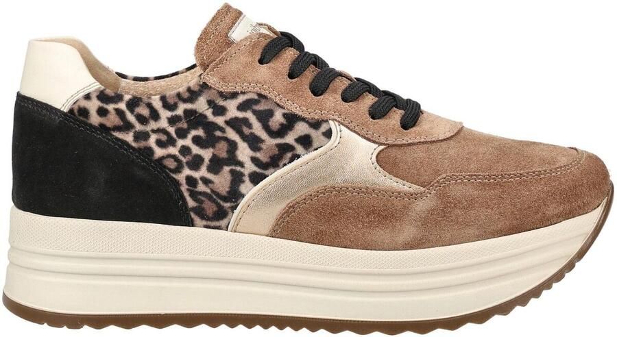 NeroGiardini Sneakers I617342D Velour Col. - Foto 2