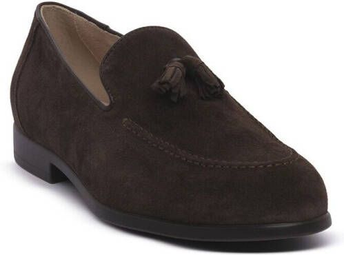 NeroGiardini Mocassins NERO GIARDINI 300 AROLD COLO MORO